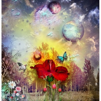 Fototapet Abstract 1 (270 x 255 cm)